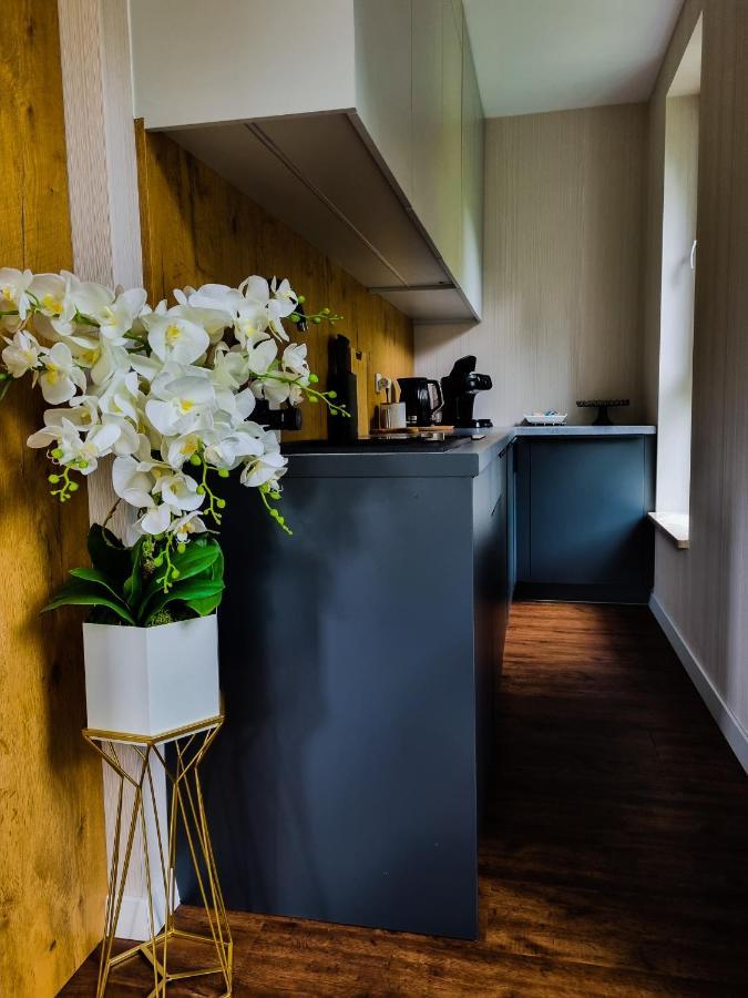 Porąbka Apartament Kurort Kozubnik Wilcza Wataha מראה חיצוני תמונה